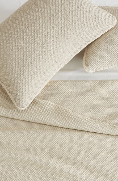 Woven & Weft Stonewashed Quilt & Sham Set In Sand