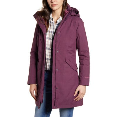 Patagonia Vosque 3-In-1 Parka, Purple