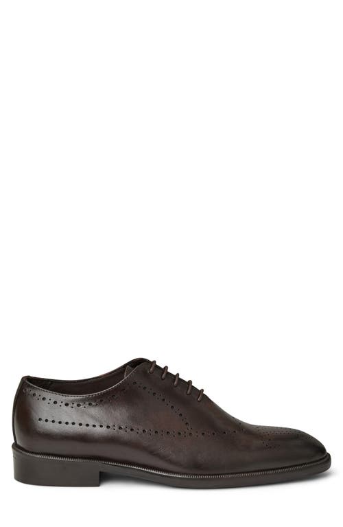 Bruno Magli Ansel Wholecut Oxford (men) In Brown