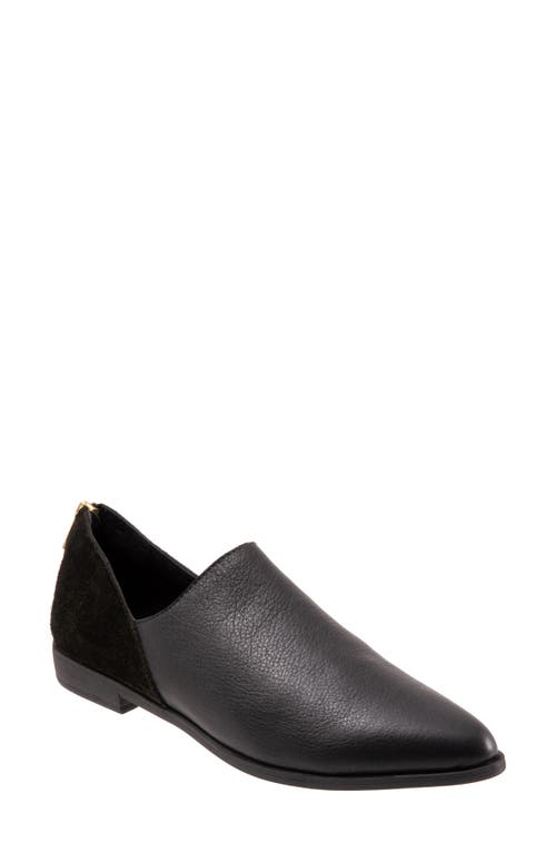 Bueno Beau Pointed Toe Loafer at Nordstrom