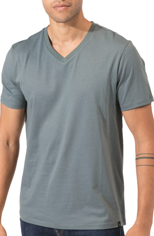 Threads 4 Thought Invincible Organic Cotton T-Shirt Marsh at Nordstrom,