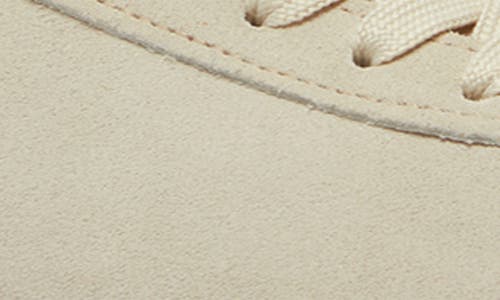 Shop Lacoste Baseshot Suede Sneaker In Off White/gum
