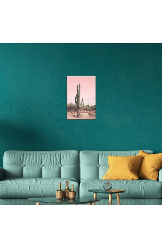 Icanvas Cactus Photography Canvas Print In Pink Multi