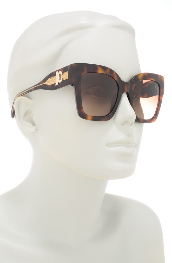 Shop Just Cavalli 52mm Oversize Square Sunglasses In Havana Havana Brown