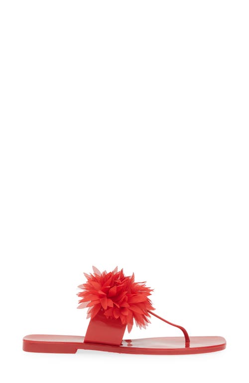 JEFFREY CAMPBELL JEFFREY CAMPBELL POLLINATE T-STRAP SANDAL 