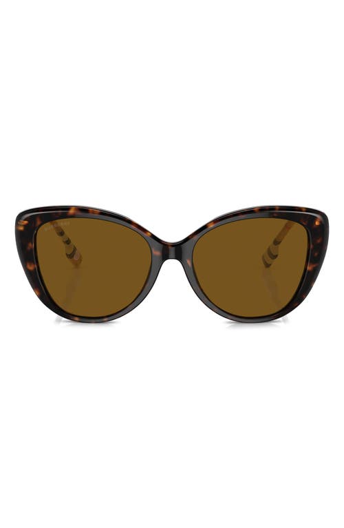 burberry 54mm Polarized Cat Eye Sunglasses in Dark Havana at Nordstrom