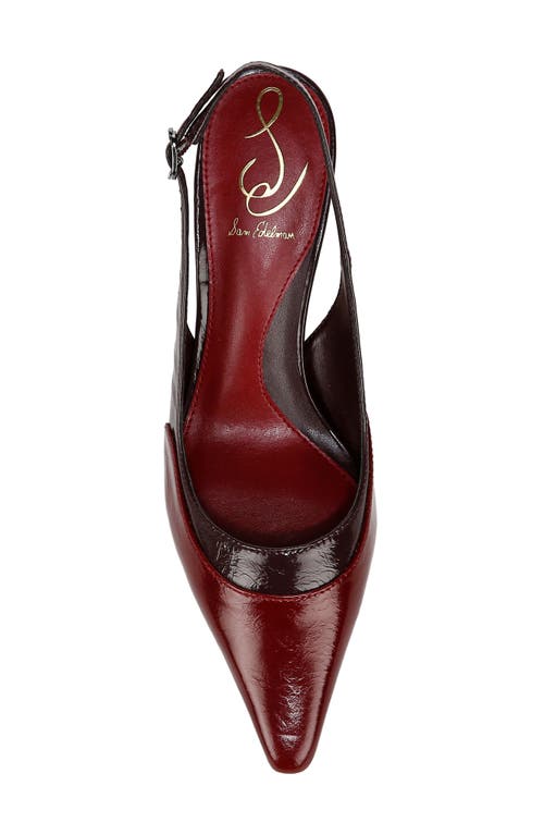 Shop Sam Edelman Bayley Pointed Toe Slingback Pump In Cabernet Red/parisian Plum