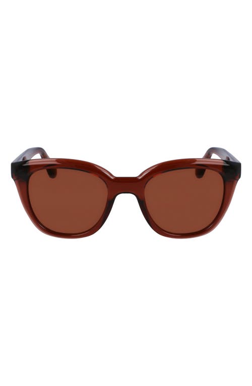 Ferragamo Classic Logo Tea Cup 52mm Round Sunglasses In Brown