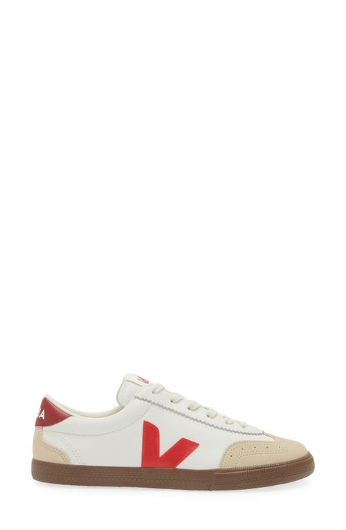 Veja Volley O. T. Leather Sneakers White Pekin Bark In White/pekin/bark