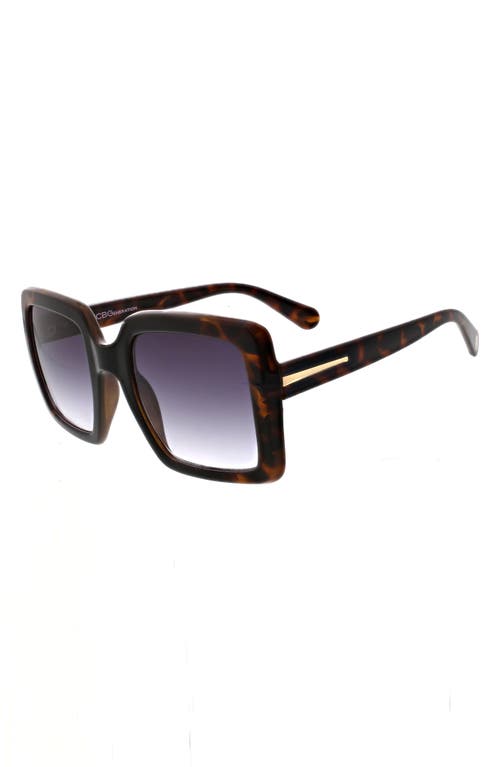 Bcbg 52mm Oversize Square Sunglasses In Brown Demi/black