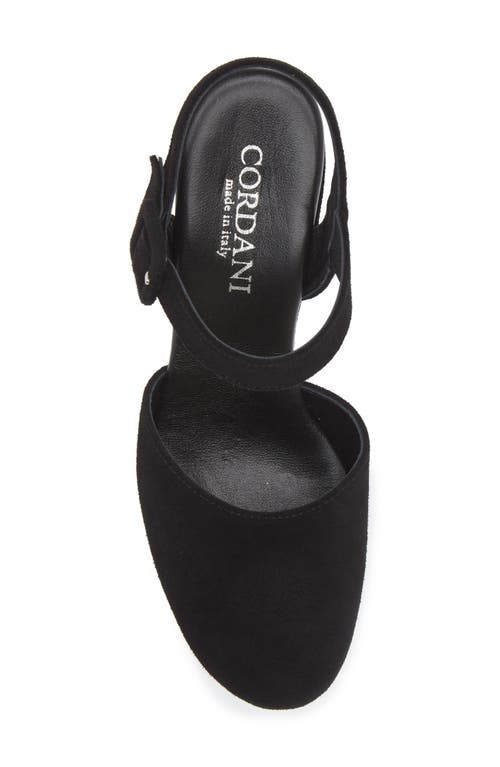 Cordani Torin Ankle Strap Platform Pump In Black Suede