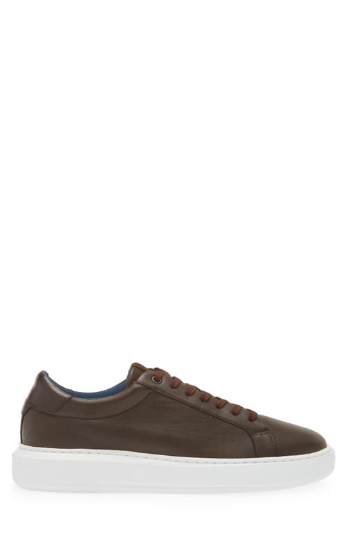 Shop G Brown Puff Low Top Leather Sneaker