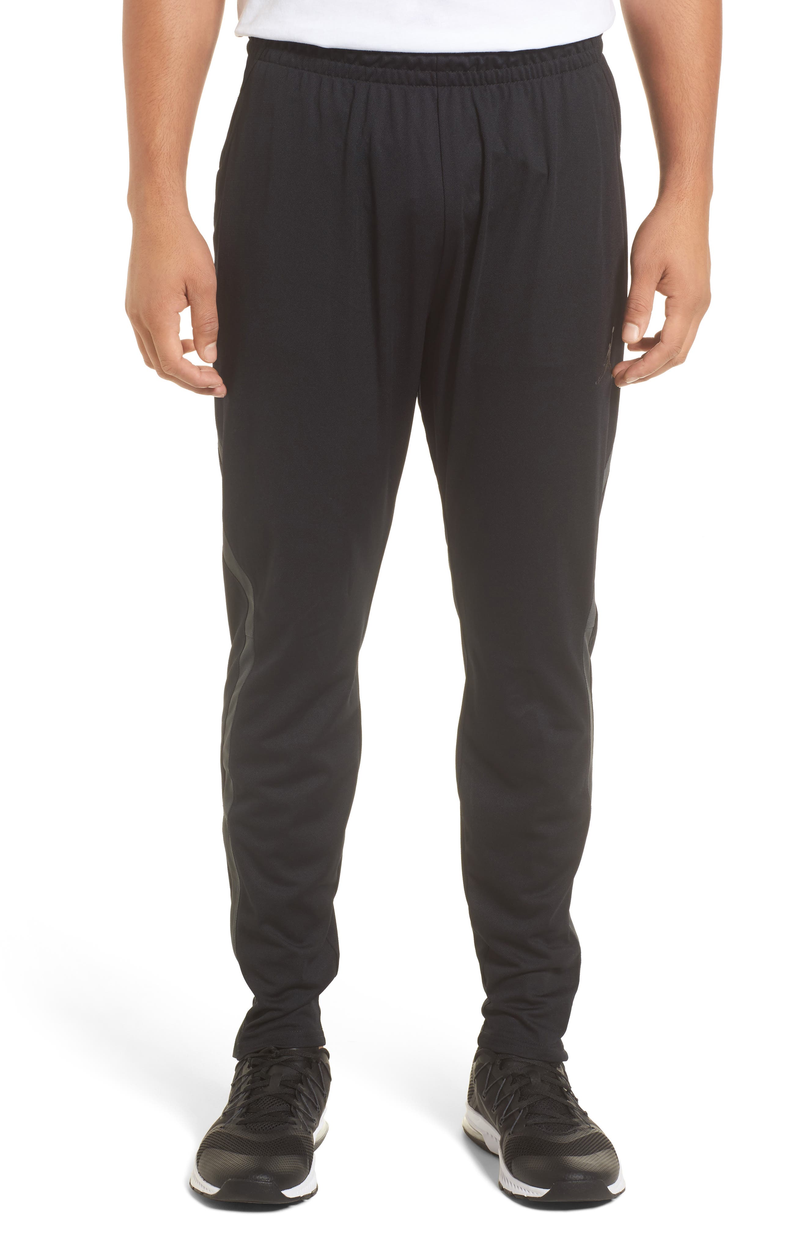 jordan men's dry 23 alpha training pants