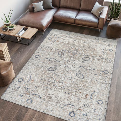 Jonathan Y Shaii Global Medallion Low-pile Machine-washable Area Rug In Light Gray/brown