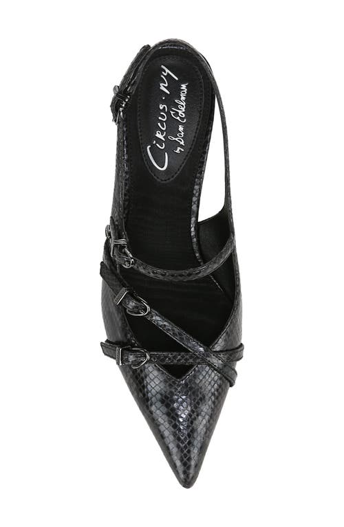 Circus Ny By Sam Edelman Fraya Slingback Pointed Toe Pump In Black