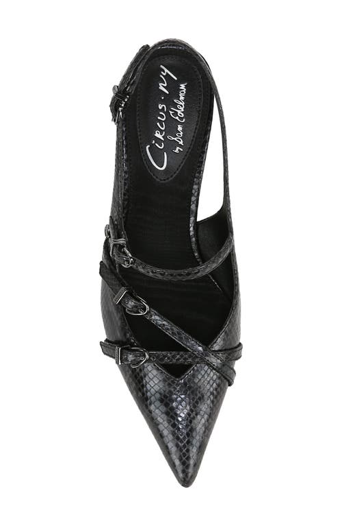 Shop Circus Ny By Sam Edelman Fraya Slingback Pointed Toe Pump In Black