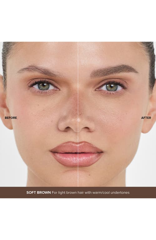 Anastasia Beverly Hills Volumizing Tinted Brow Gel In Soft Brown