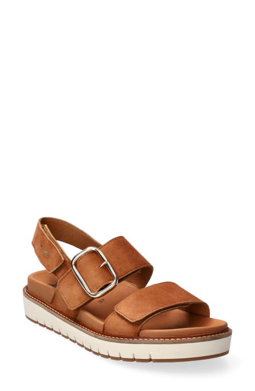 Mephisto Belona Slingback Sandal at Nordstrom,