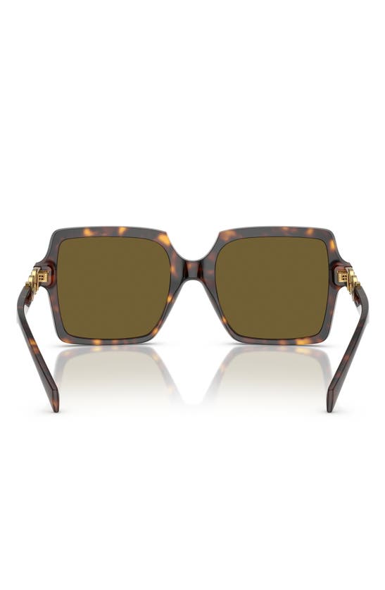 Versace Medusa Head Square-frame Sunglasses In Havana