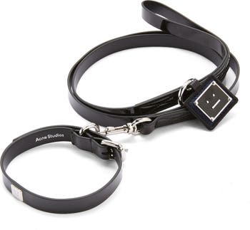 Chanel Dog leash and collar set