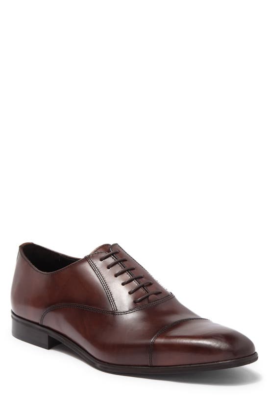 Bruno Magli Delano Oxford In Rust