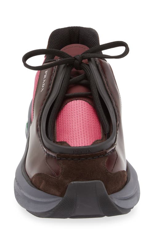 Shop Prada New Mixed Media Sneaker In Granato/peonia