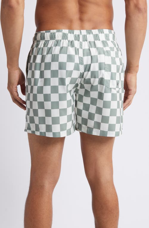 Boardies Nico Checkerboard Swim Trunks In Green/cream