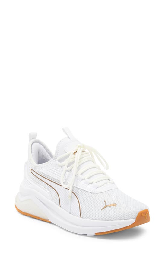 Puma Amplifier Sneaker In  White- Gold