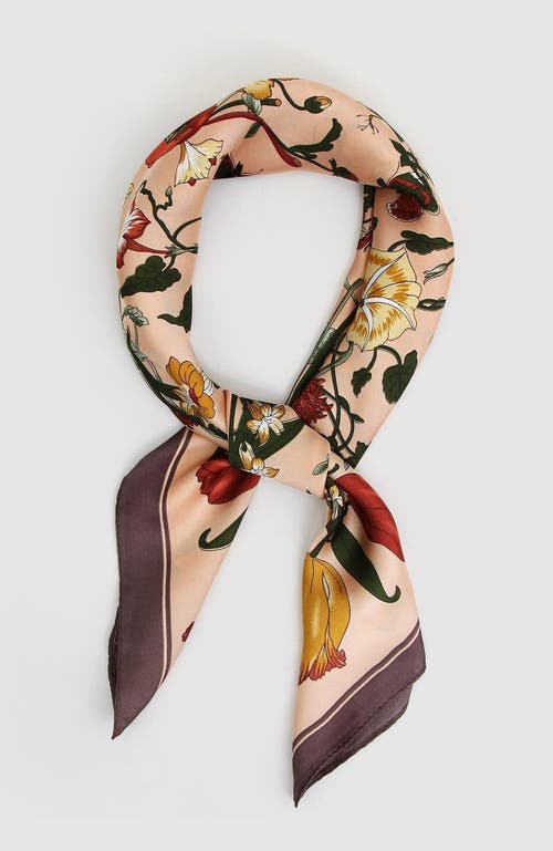 Belle & Bloom English Garden Fashion Scarf In Blush