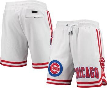 Mitchell & Ness City Collection Mesh Shorts Chicago Cubs