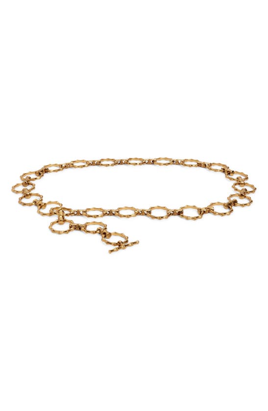 Zimmermann Link Belt In Golden Brass