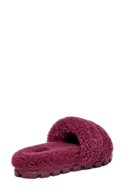 Shop Ugg(r) Cozetta Curly Genuine Shearling Slide Slipper In Cordial