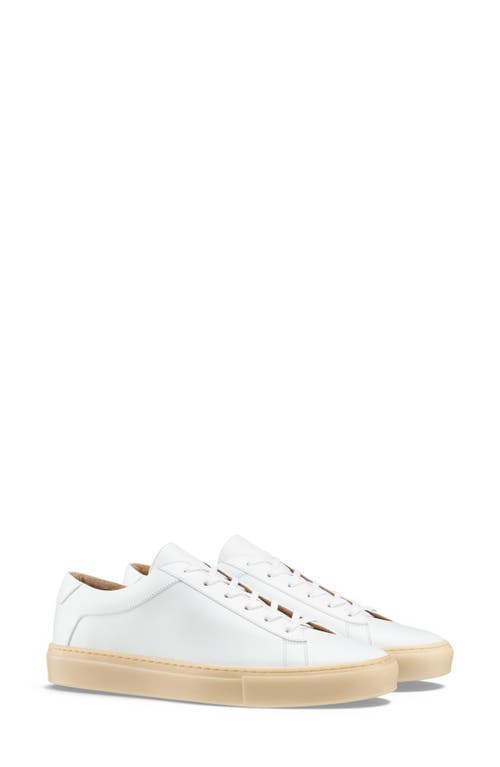 Koio Capri Sneaker in White Light Gum