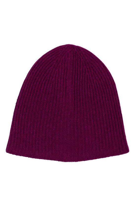Amicale Cashmere Double Layer Rib Knit Hat In Purple