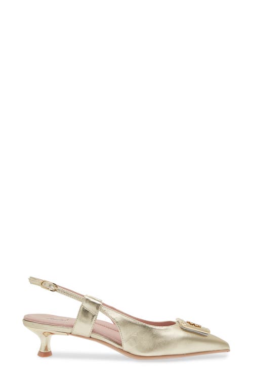 Shop Naot Amber Pointed Toe Slingback Pump In Gold Metallic Leather