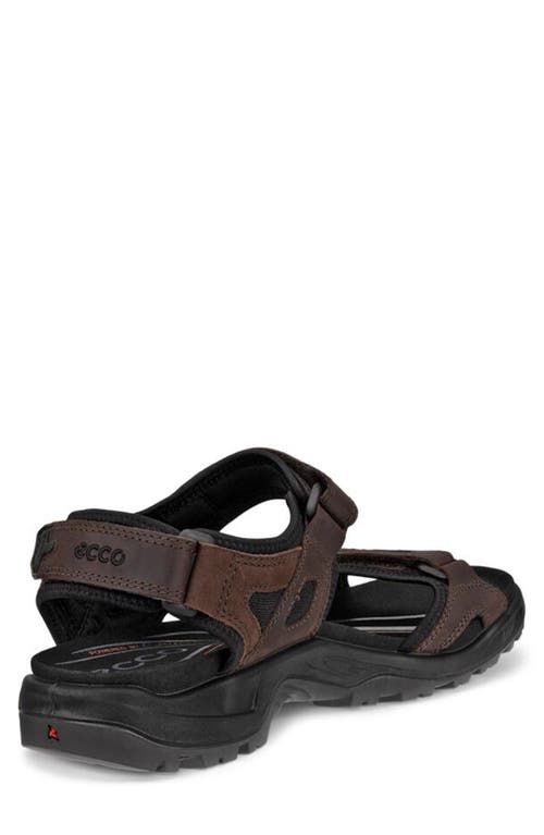 Shop Ecco Yucatan Sandal In Mocha/mocha