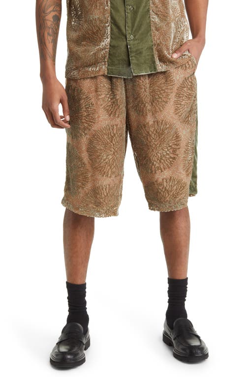 DAILY PAPER Pax Print Shorts in Mycellium Green Aop