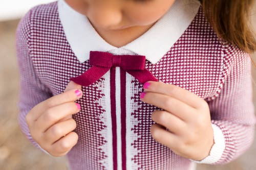 Hope & Henry Girls' Organic French Blocked Sweater Dress, Toddler In Berry And Navy Colorblock