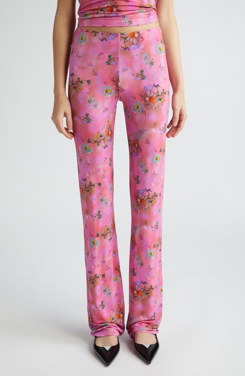 Panta Jazz Floral Knit Pants in Pink Shades
