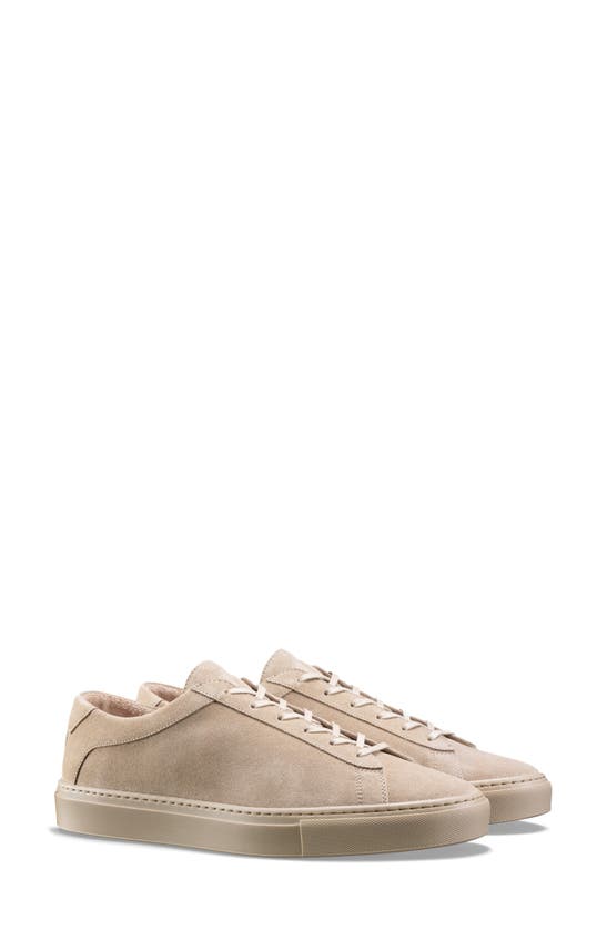 Koio Capri Sneaker In Trail