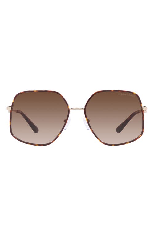 Michael Kors Empire 59mm Gradient Butterfly Sunglasses in Brown Grad at Nordstrom
