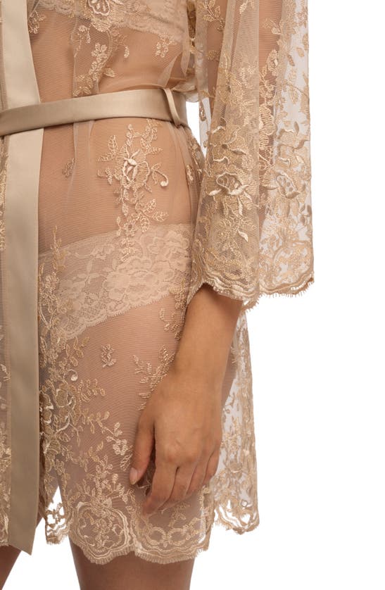 Shop Rya Collection Darling Lace Wrap In Latte