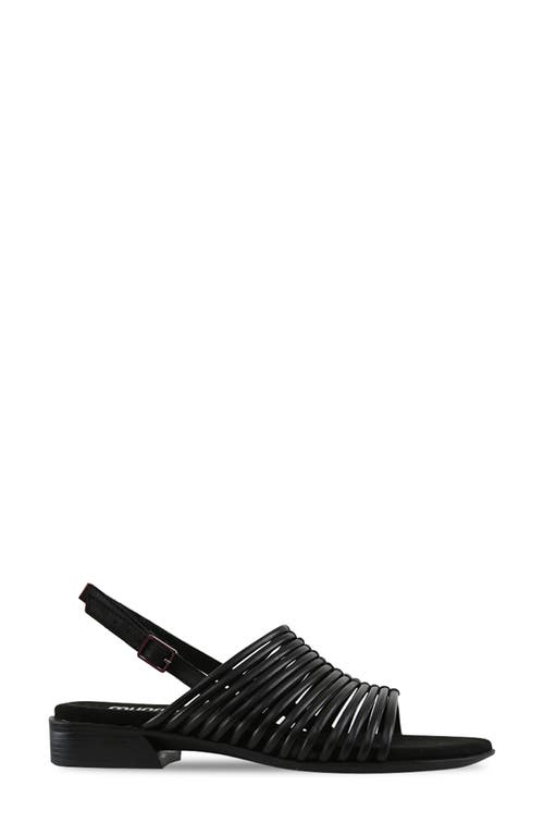 Munro Celia Slingback Sandal In Black