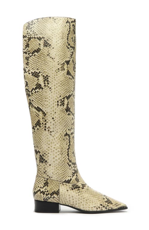 Shop Schutz Helena Over The Knee Boot In Animal Print