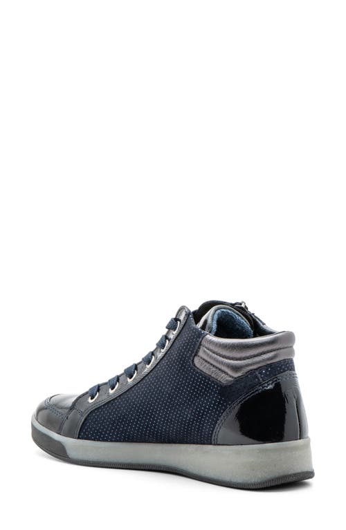 Shop Ara Rei Sneaker In Navy/midnight/anthracite