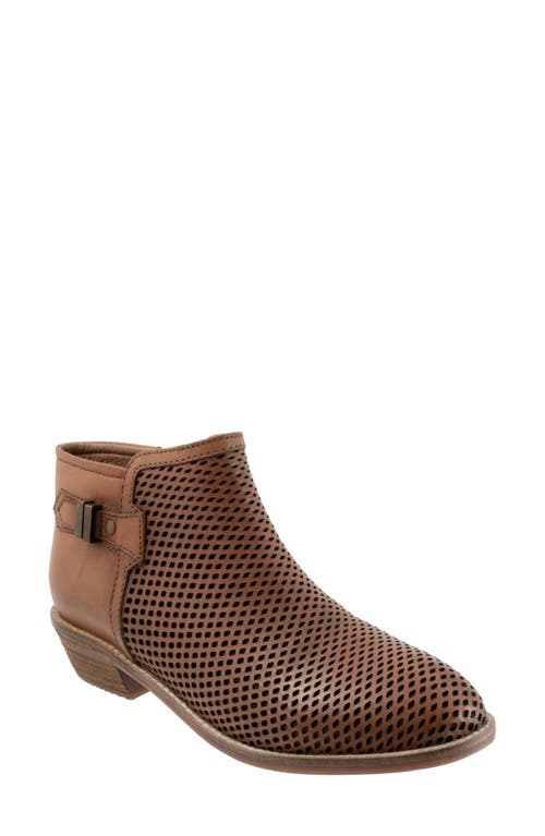 SoftWalk Rimini Perforated Bootie Luggage at Nordstrom,