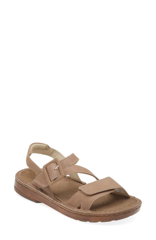 Shop Naot Castelo Sandal In Khaki Beige Leather