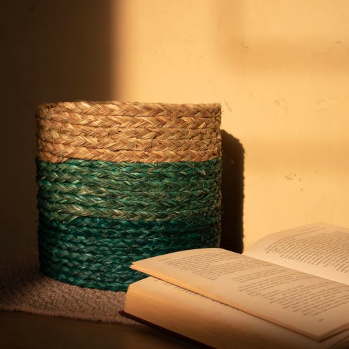 Kadam Haat Babui Eco-pot In Indigo