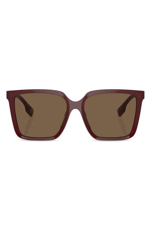 burberry 57mm Square Sunglasses in Bordeaux at Nordstrom