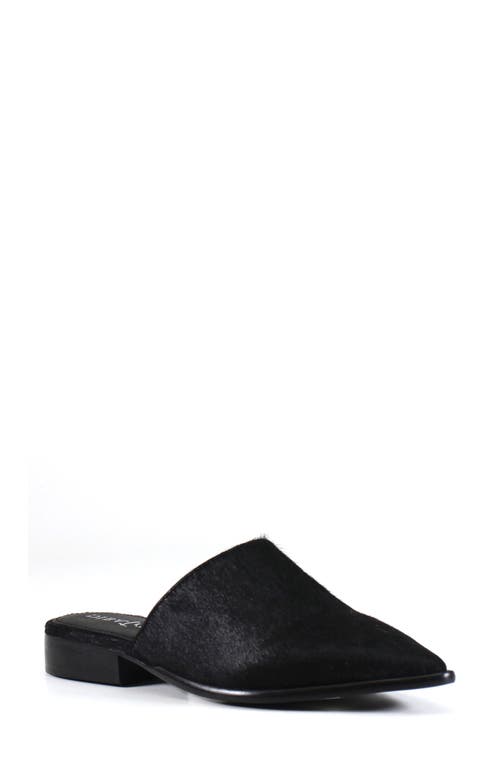 High Up Calf Hair Mule in Black /Calf Hair